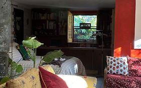 The Studio
